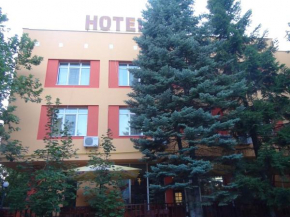 Отель Family Hotel Familya  Руза